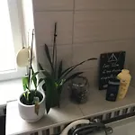 Côté Rive, Au Bord De La Rivière La Moselotte Et Terrasse *