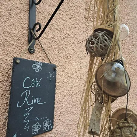 Cote Rive, Au Bord De La Riviere La Moselotte Et Terrasse *