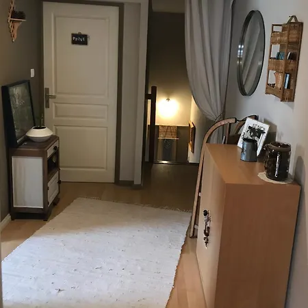 Cote Rive, Au Bord De La Riviere La Moselotte Et Terrasse アパート *