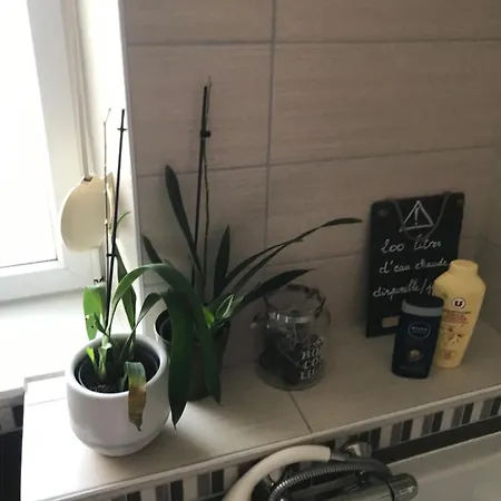 Cote Rive, Au Bord De La Riviere La Moselotte Et Terrasse *