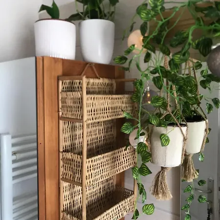 アパート Cote Rive, Au Bord De La Riviere La Moselotte Et Terrasse Saulxures-sur-Moselotte