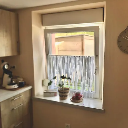 Cote Rive, Au Bord De La Riviere La Moselotte Et Terrasse * Saulxures-sur-Moselotte