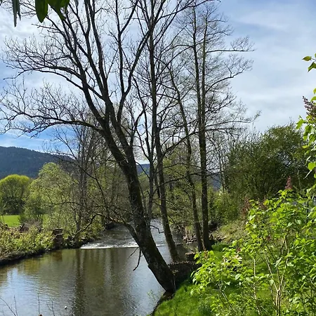 アパート Cote Rive, Au Bord De La Riviere La Moselotte Et Terrasse *