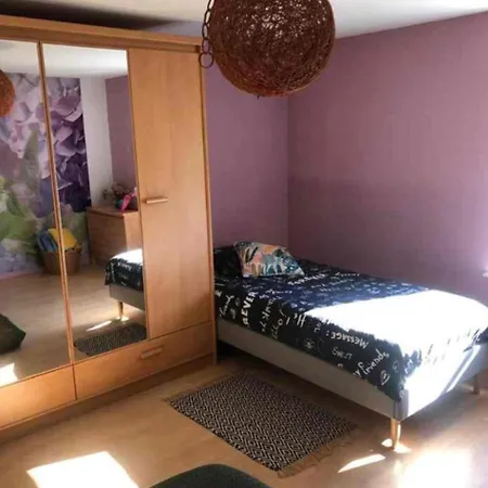 Cote Rive, Au Bord De La Riviere La Moselotte Et Terrasse アパート *