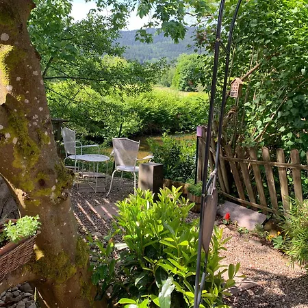 Côté Rive, Au Bord De La Rivière La Moselotte Et Terrasse