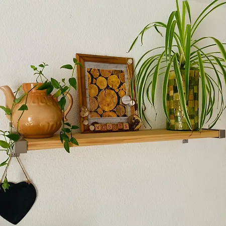 Cote Rive, Au Bord De La Riviere La Moselotte Et Terrasse *