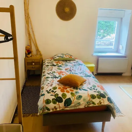 Cote Rive, Au Bord De La Riviere La Moselotte Et Terrasse 아파트 *