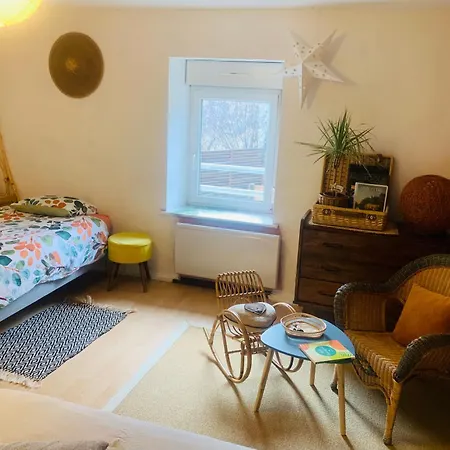 Cote Rive, Au Bord De La Riviere La Moselotte Et Terrasse *