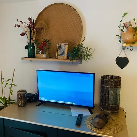 Cote Rive, Au Bord De La Riviere La Moselotte Et Terrasse * Saulxures-sur-Moselotte