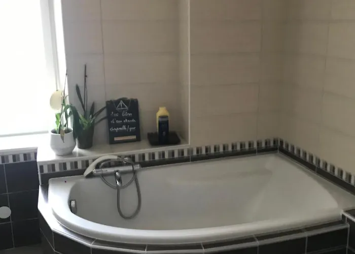 Côté Rive, Au Bord De La Rivière La Moselotte Et Terrasse * Saulxures-sur-Moselotte