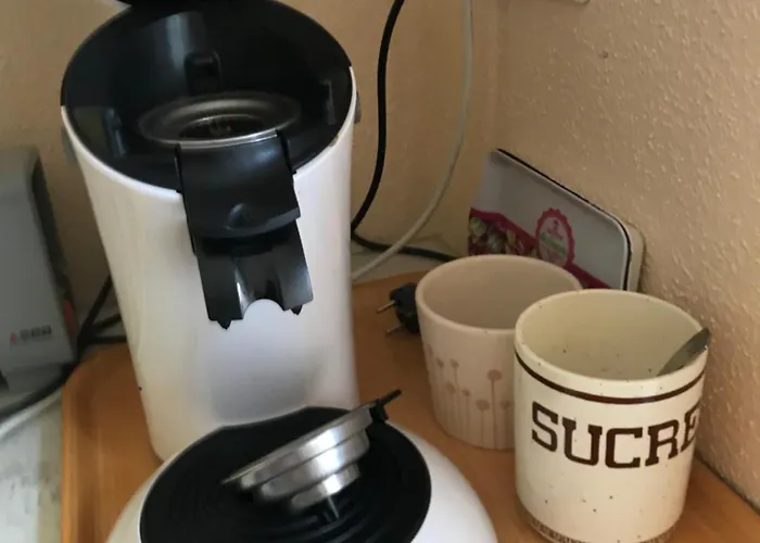 아파트 Cote Rive, Au Bord De La Riviere La Moselotte Et Terrasse