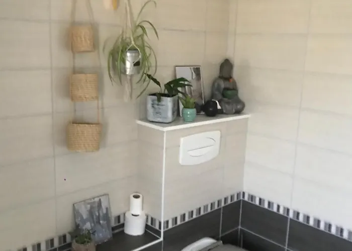 Cote Rive, Au Bord De La Riviere La Moselotte Et Terrasse Saulxures-sur-Moselotte