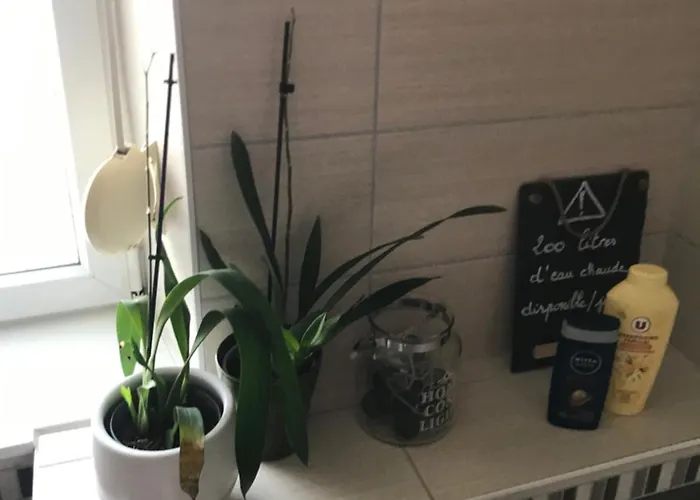 Cote Rive, Au Bord De La Riviere La Moselotte Et Terrasse *