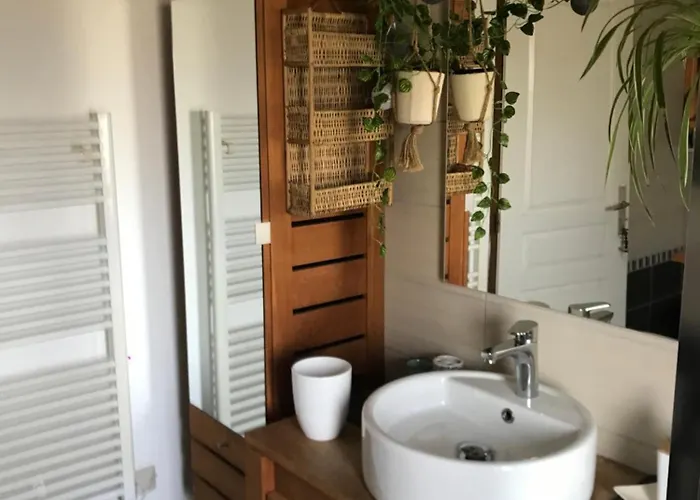 Appartement Côté Rive, Au Bord De La Rivière La Moselotte Et Terrasse Saulxures-sur-Moselotte