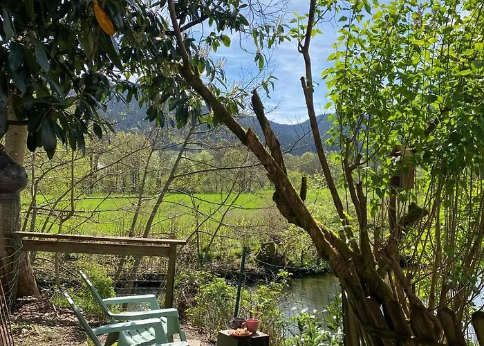 Côté Rive, Au Bord De La Rivière La Moselotte Et Terrasse Saulxures-sur-Moselotte