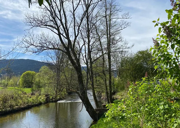아파트 Cote Rive, Au Bord De La Riviere La Moselotte Et Terrasse *