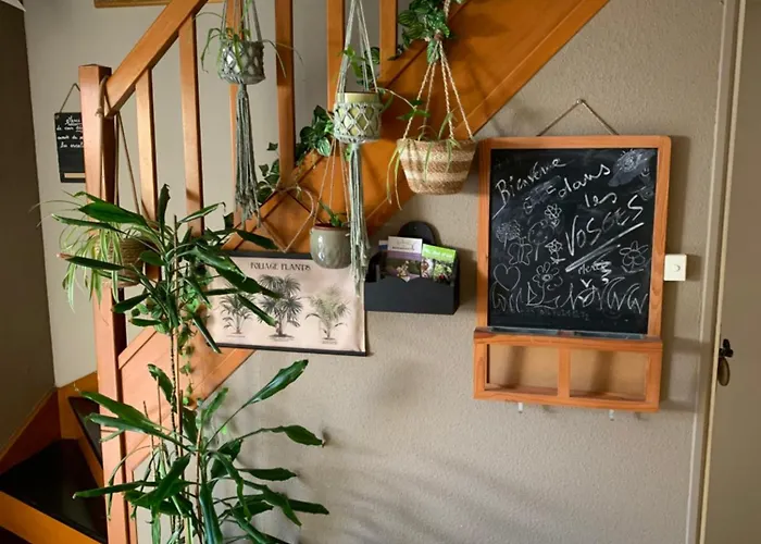 Appartement Côté Rive, Au Bord De La Rivière La Moselotte Et Terrasse Saulxures-sur-Moselotte