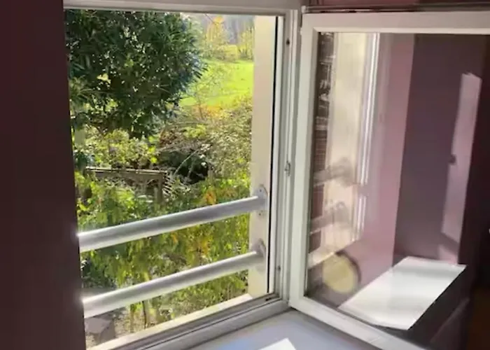 아파트 Cote Rive, Au Bord De La Riviere La Moselotte Et Terrasse Saulxures-sur-Moselotte