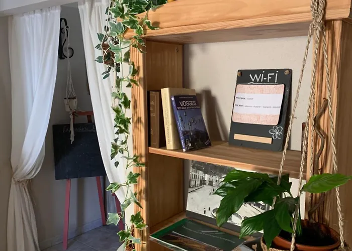 아파트 Cote Rive, Au Bord De La Riviere La Moselotte Et Terrasse Saulxures-sur-Moselotte