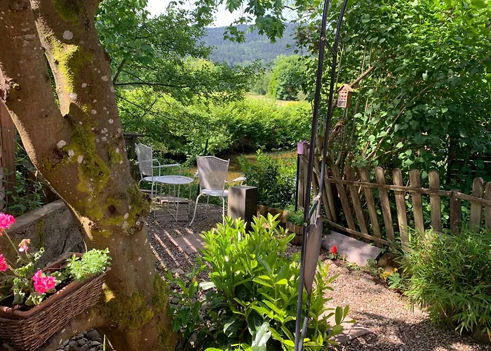 Côté Rive, Au Bord De La Rivière La Moselotte Et Terrasse