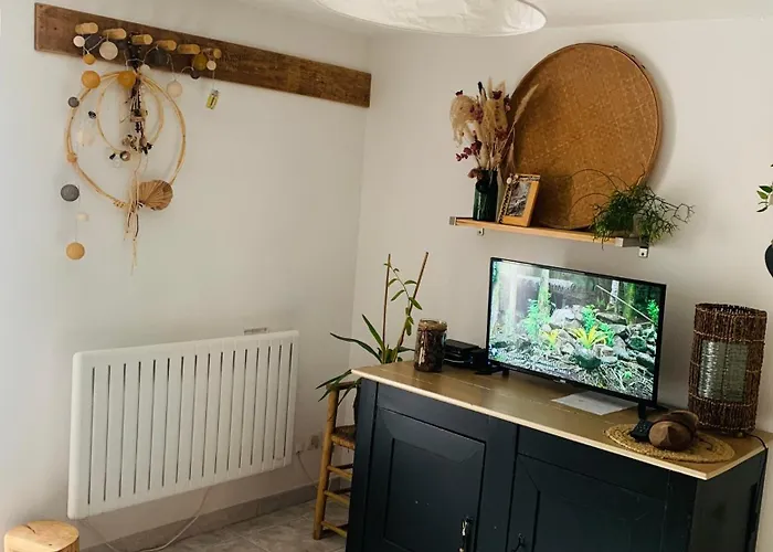 Côté Rive, Au Bord De La Rivière La Moselotte Et Terrasse