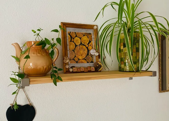 Côté Rive, Au Bord De La Rivière La Moselotte Et Terrasse *