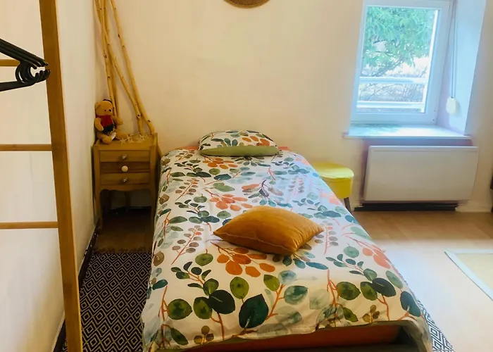 Cote Rive, Au Bord De La Riviere La Moselotte Et Terrasse 아파트 *