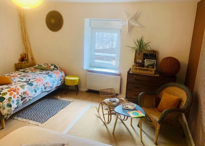 Côté Rive, Au Bord De La Rivière La Moselotte Et Terrasse *