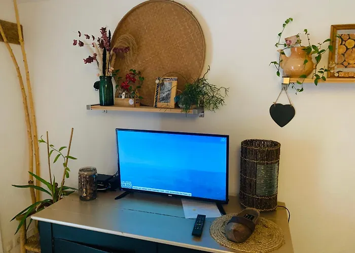 Cote Rive, Au Bord De La Riviere La Moselotte Et Terrasse * Saulxures-sur-Moselotte